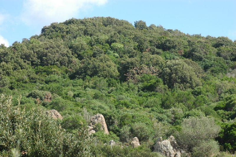 Le montagne di Sasso