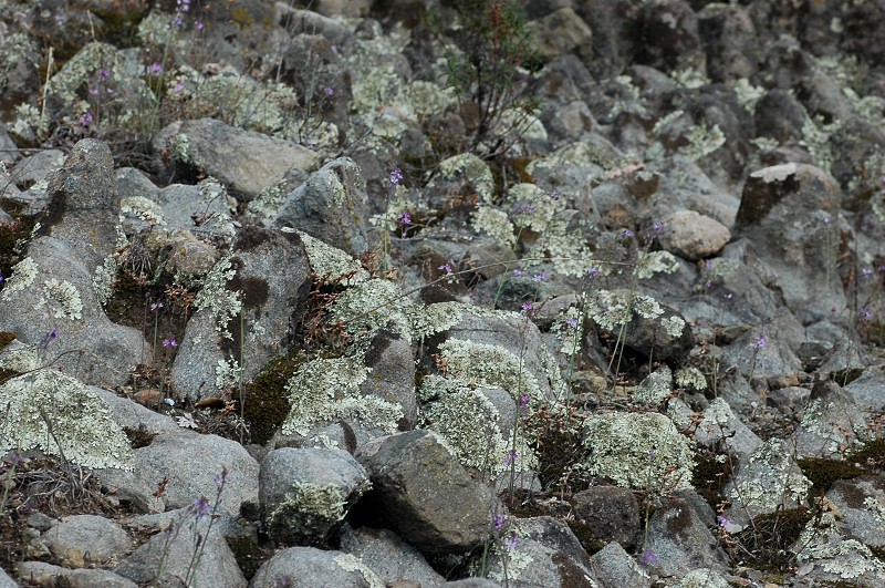 Le montagne di Sasso