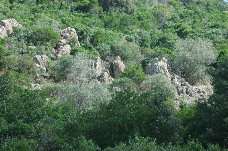 Le montagne di Sasso