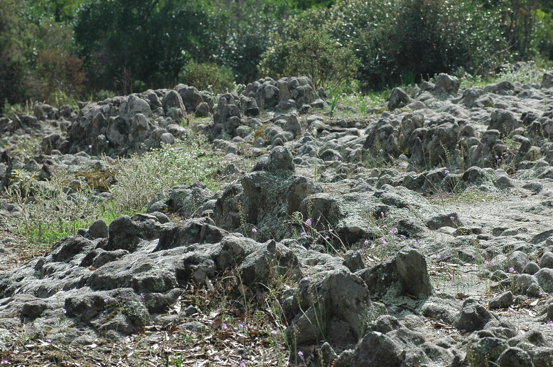 Le montagne di Sasso