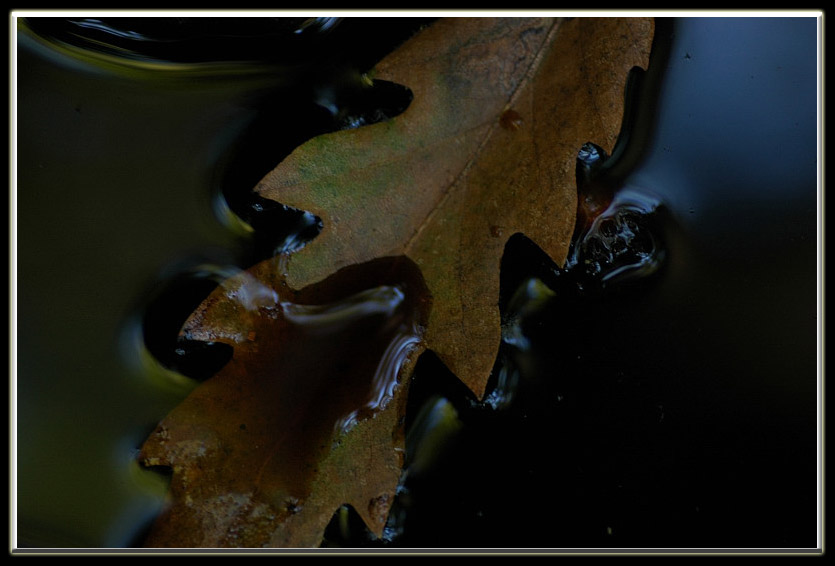 Esperimenti... d''acqua