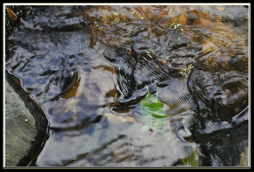 Esperimenti... d''acqua