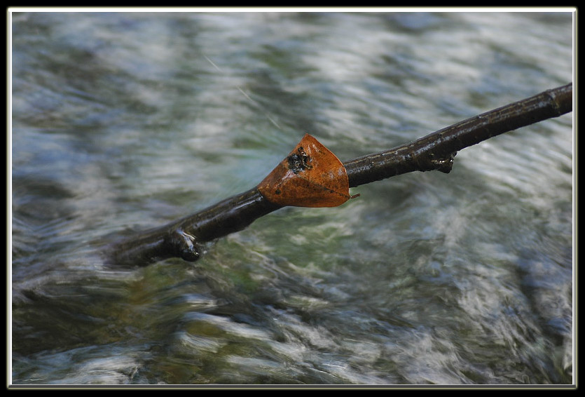 Esperimenti... d''acqua