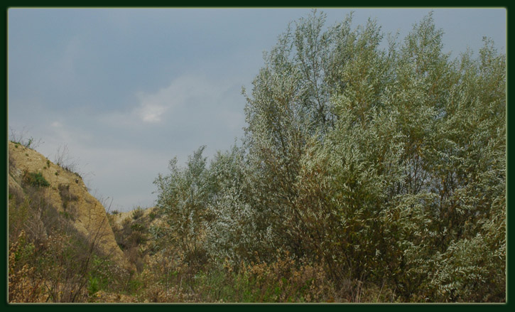 Castel di Guido (RM): un posto inaspettato