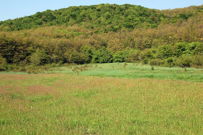 Monte Pallano