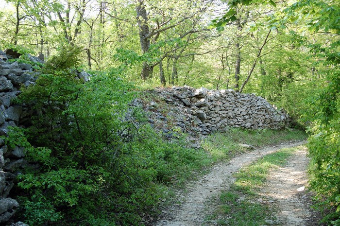 Monte Pallano