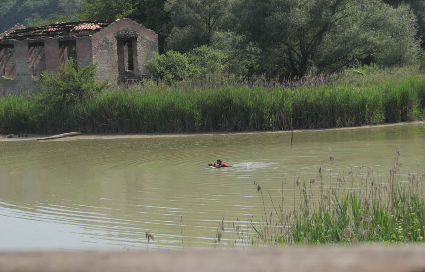 alla faccia dei codici di comportamento