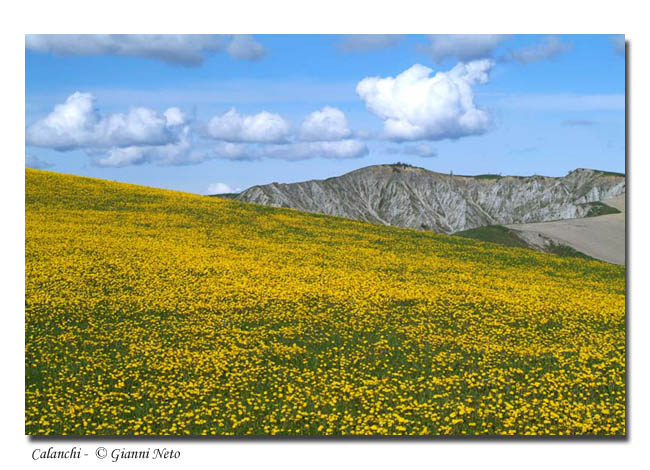 ricordo del sole