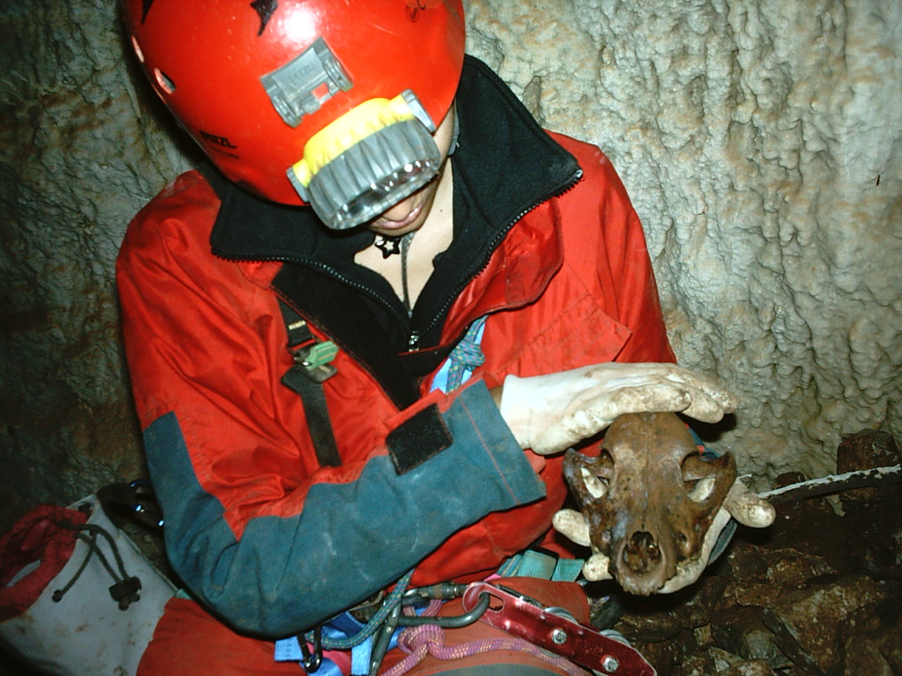 resti di cane in grotta