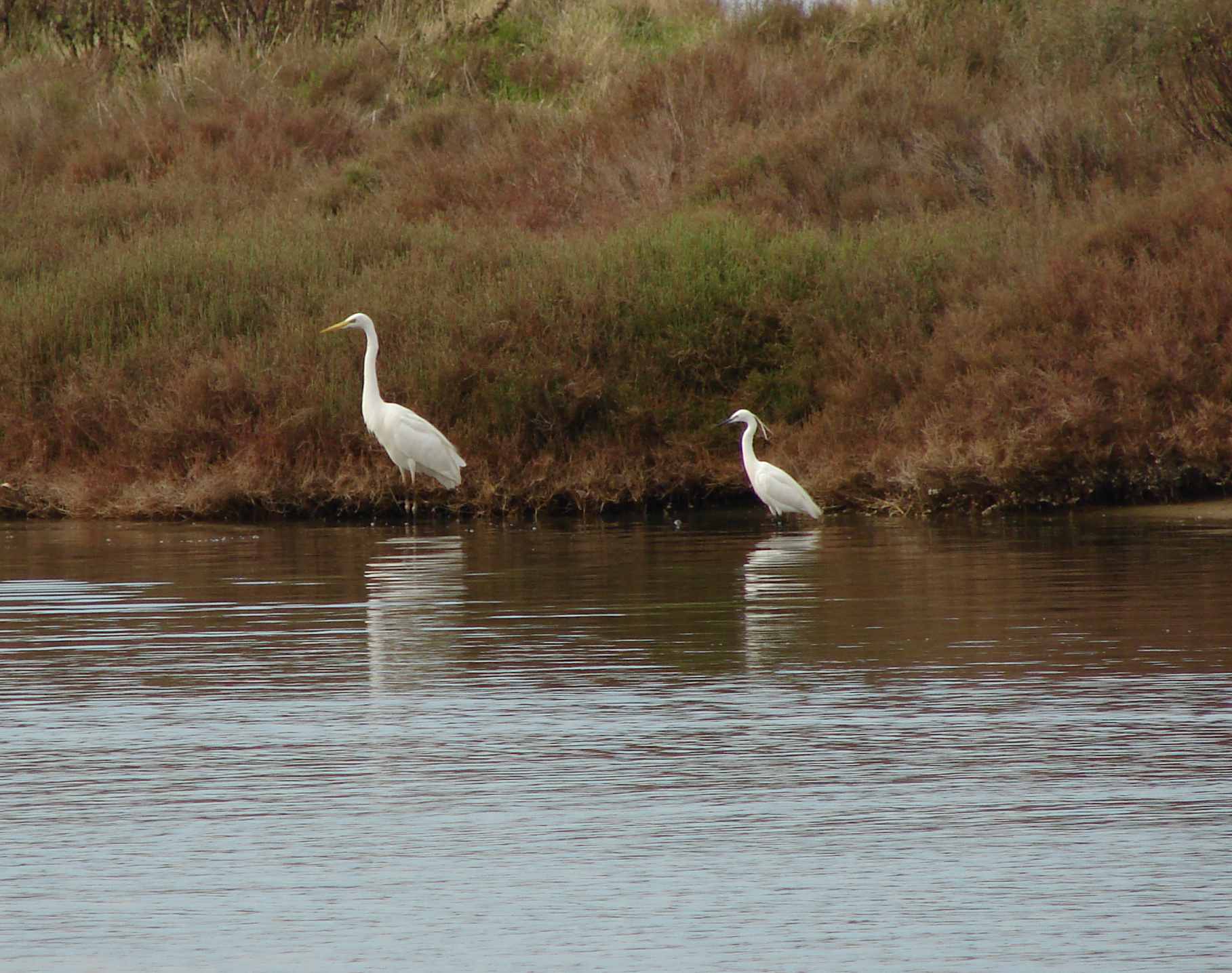 Laguna di Orbetello