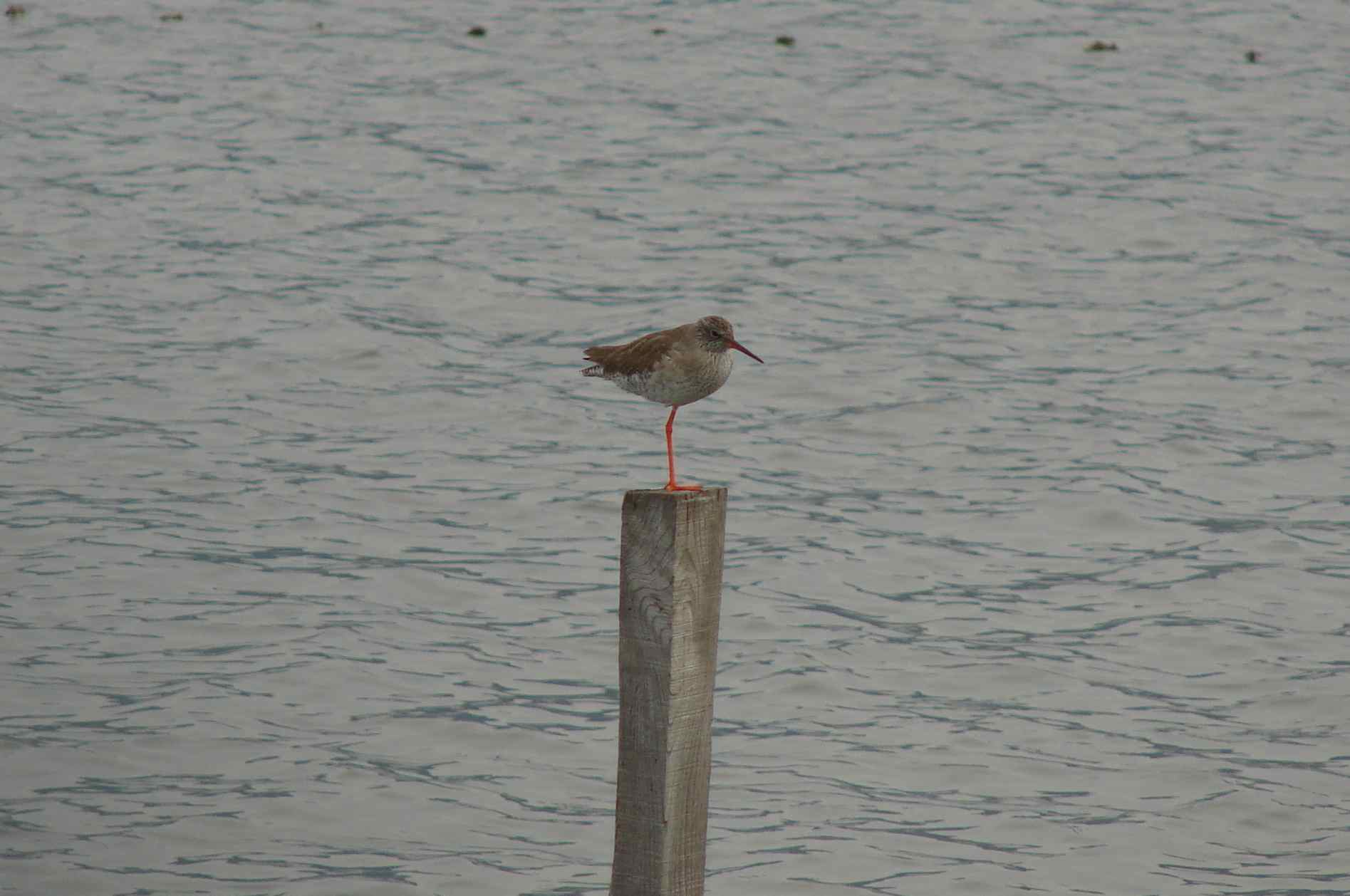 Laguna di Orbetello