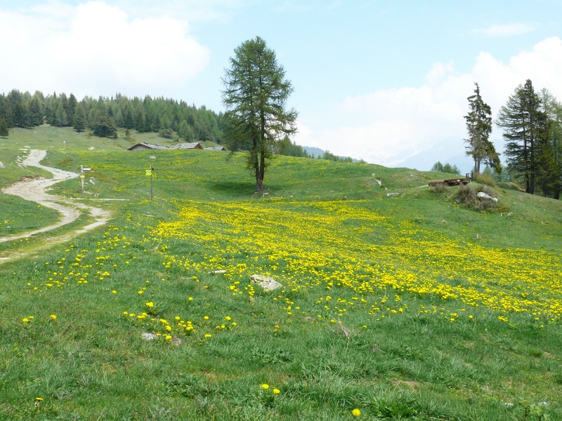 Paesaggi in valle d''aosta