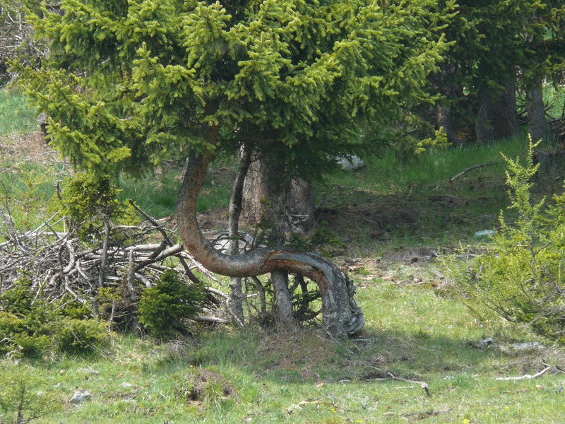 Paesaggi in valle d''aosta