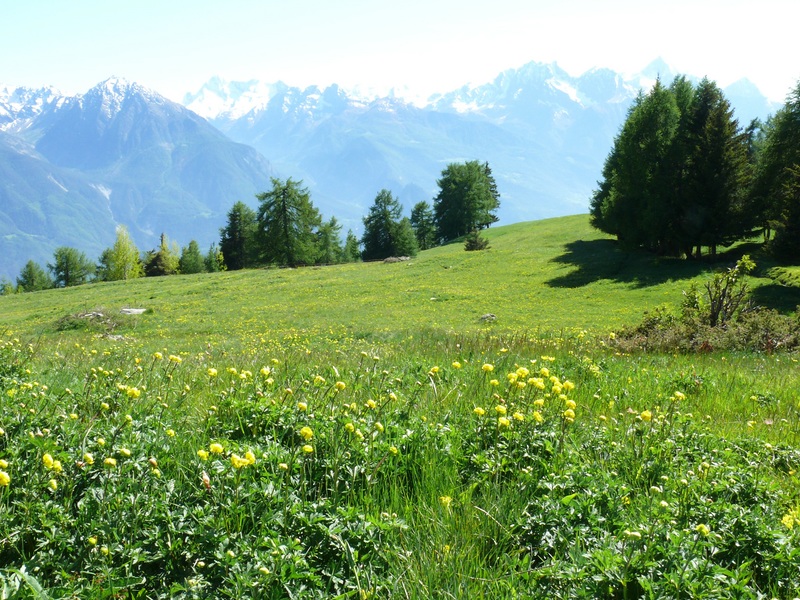 Paesaggi in valle d''aosta