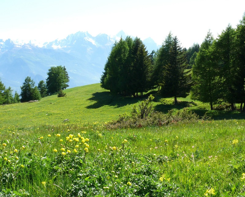 Paesaggi in valle d''aosta