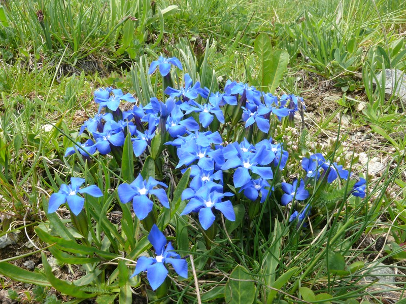 Paesaggi in valle d''aosta