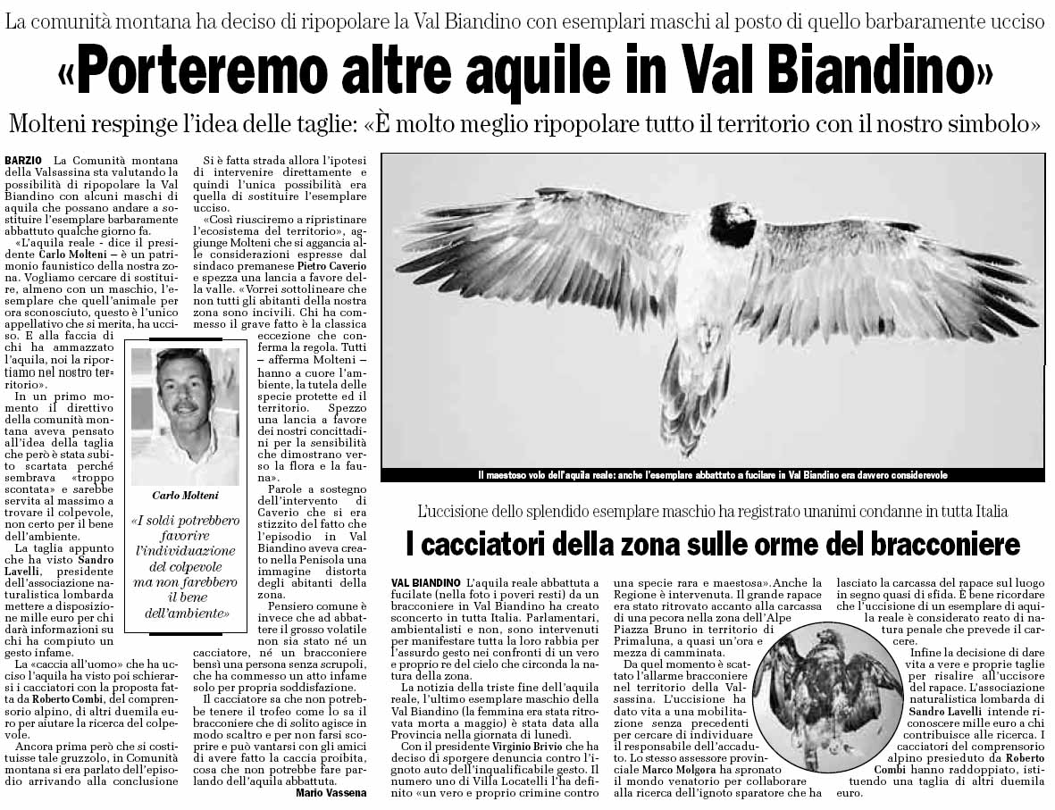 Aquila e bracconaggio