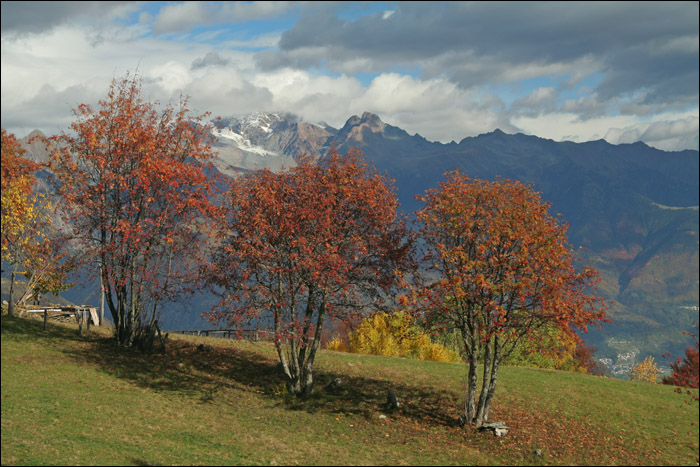 Autunno alpino