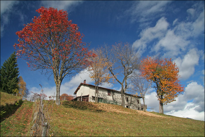 Autunno alpino