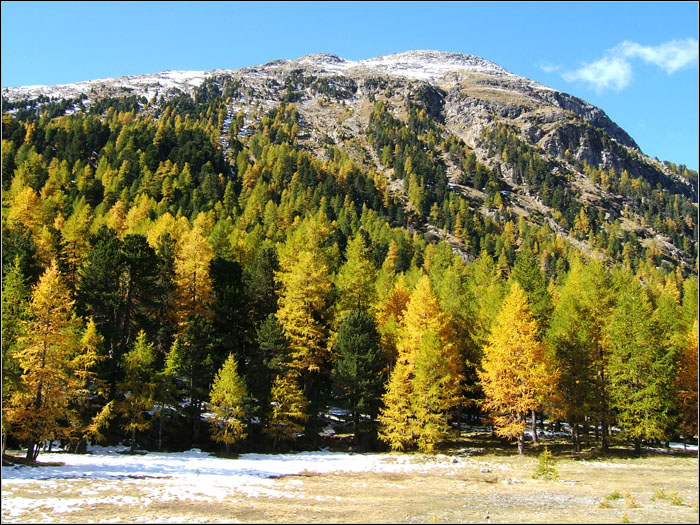 Autunno alpino