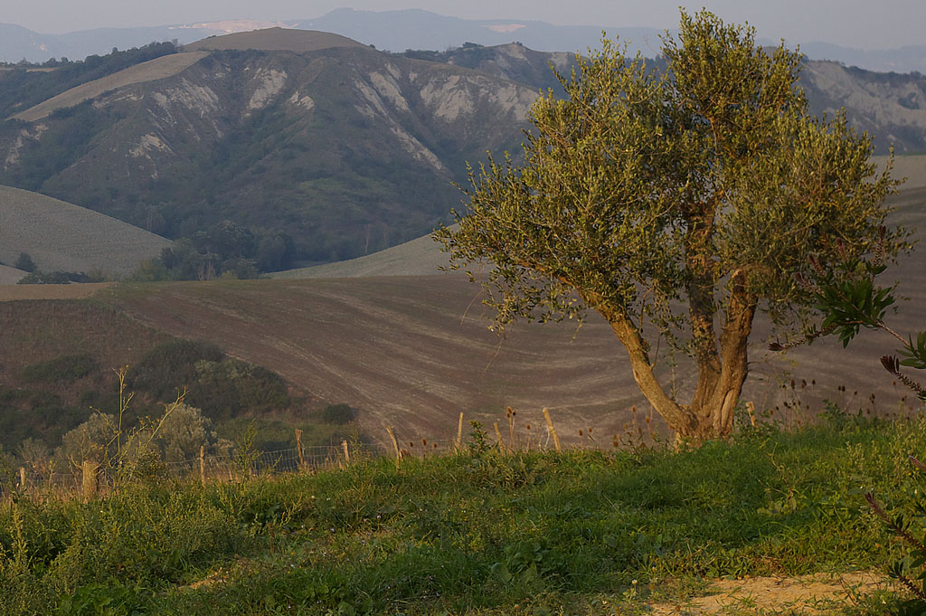 Paesaggi Toscani 2