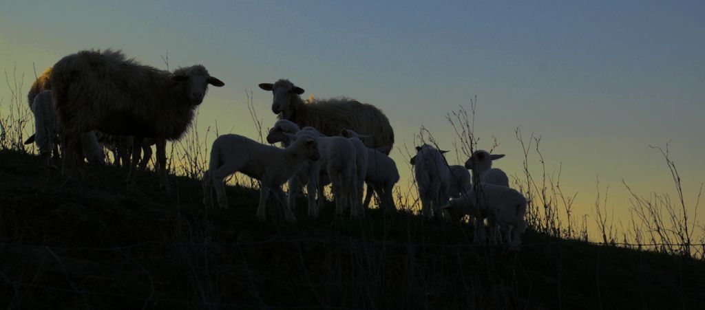 Paesaggi Toscani