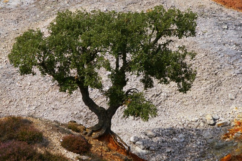 Larderello, Sasso Pisano e Monterotondo Marittimo.