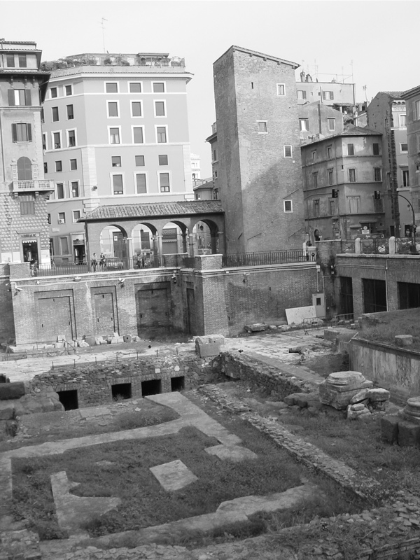 monumenti di Roma, gatti al sole d'' Ottobre