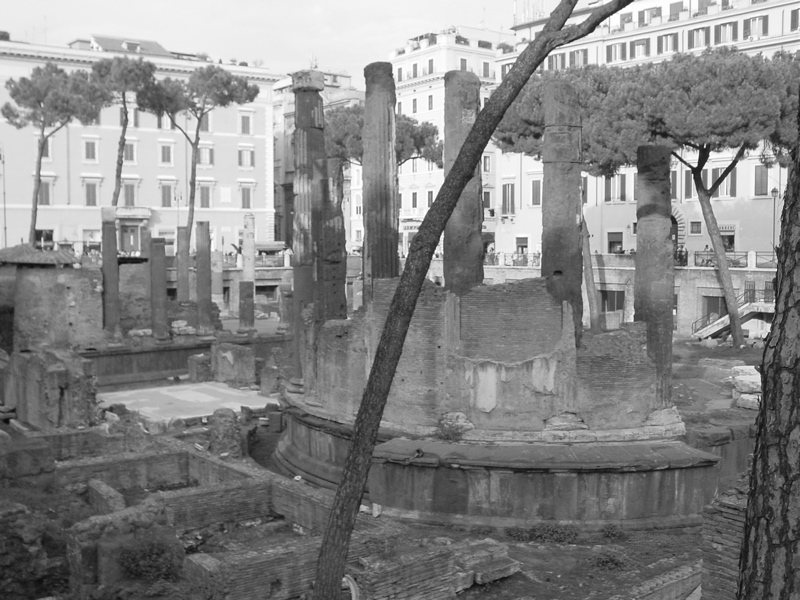 monumenti di Roma, gatti al sole d'' Ottobre