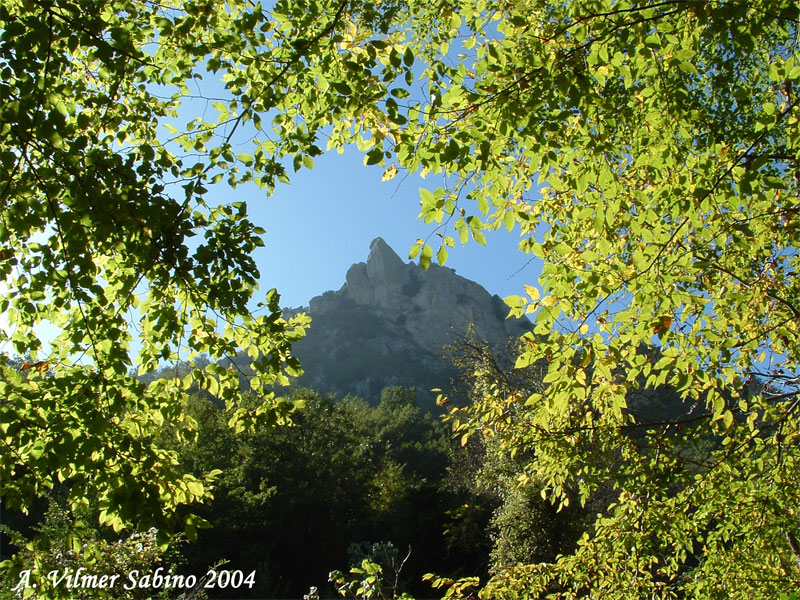 Parco regionale Gallipoli-Cognato e piccole dolomiti lucane