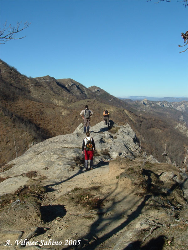 Parco regionale Gallipoli-Cognato e piccole dolomiti lucane