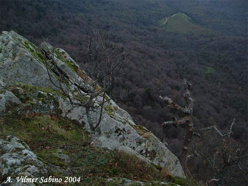 Parco regionale Gallipoli-Cognato e piccole dolomiti lucane