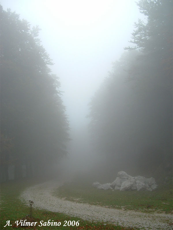 Atmosfera d''autunno in Basilicata