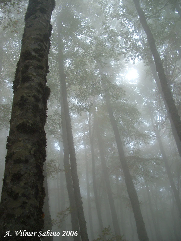 Atmosfera d''autunno in Basilicata