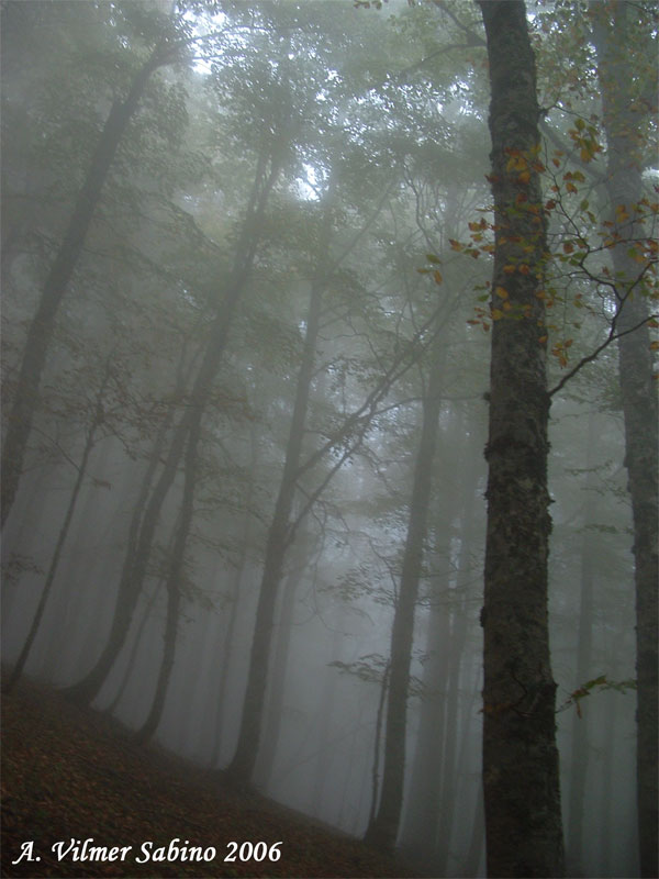 Atmosfera d''autunno in Basilicata