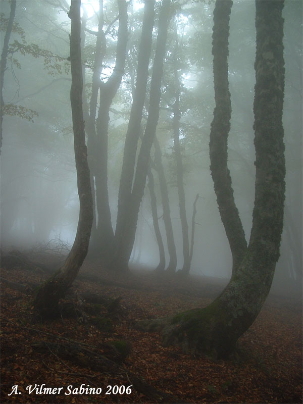 Atmosfera d''autunno in Basilicata