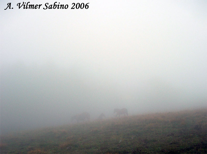 Atmosfera d''autunno in Basilicata