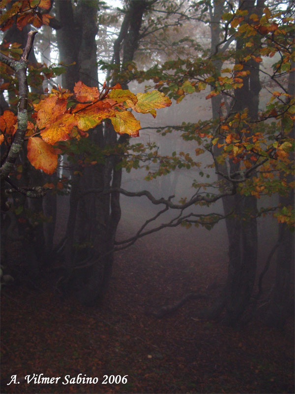 Atmosfera d''autunno in Basilicata