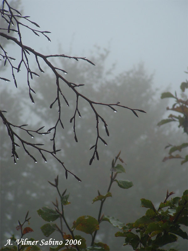 Atmosfera d''autunno in Basilicata