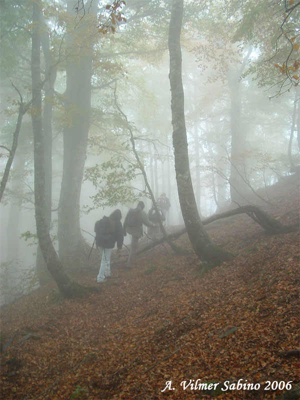 Atmosfera d''autunno in Basilicata