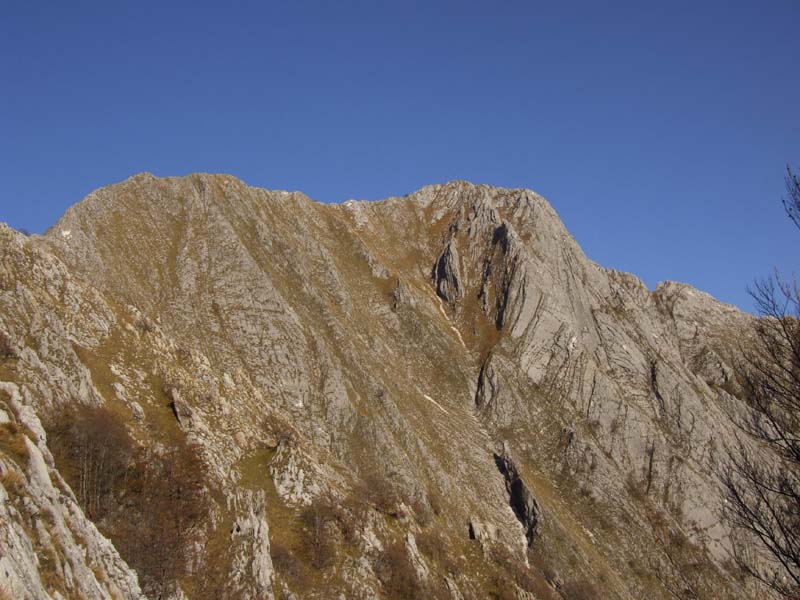 Uno sguardo sulle Alpi Apuane