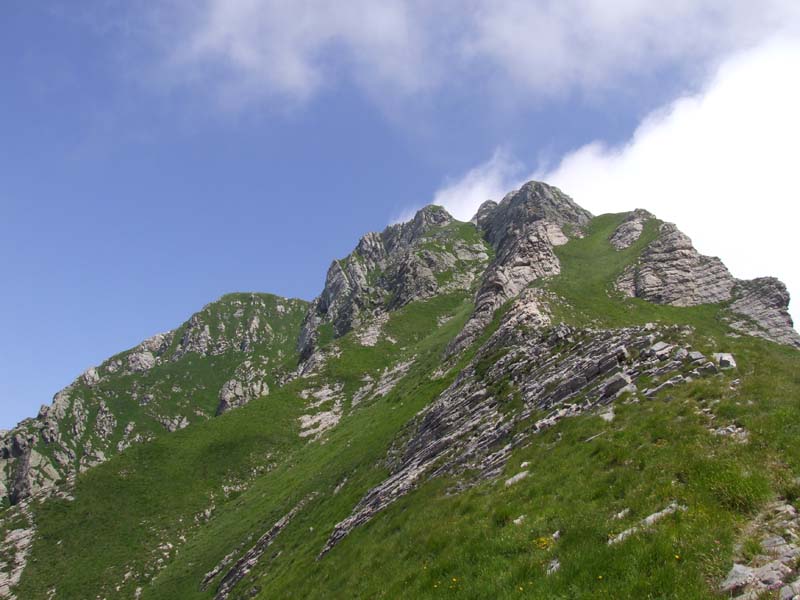 Uno sguardo sulle Alpi Apuane