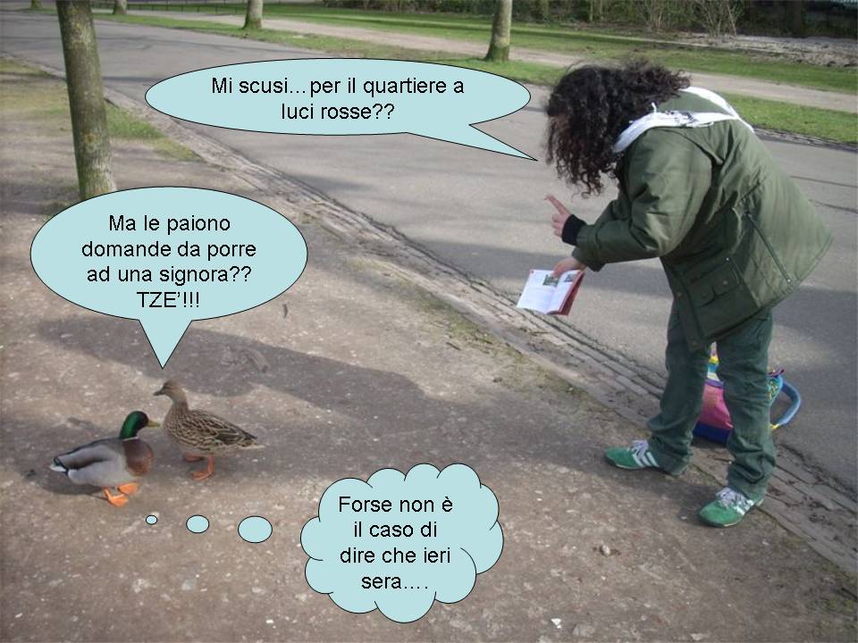 Avifauna humor