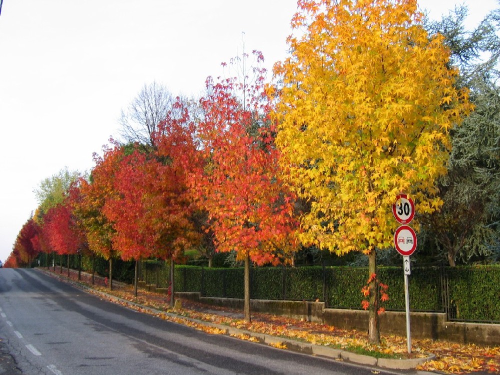 Autunno