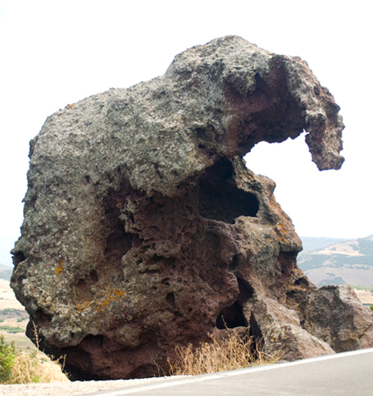 Sculture naturali