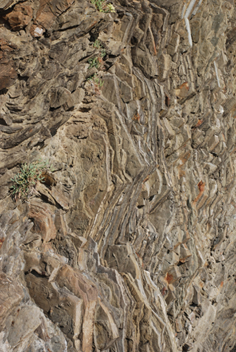 Flysch del Cilento