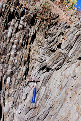 Flysch del Cilento