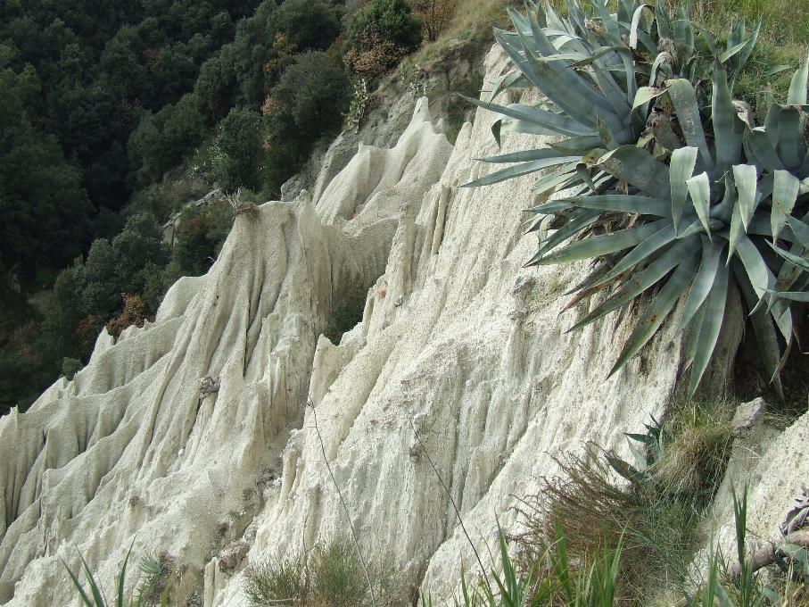 Ischia: pizzi bianchi