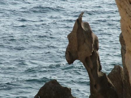 Sculture naturali