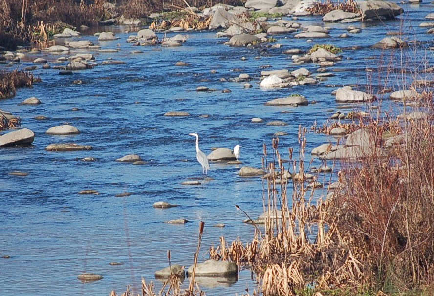 Sul fiume Serchio.